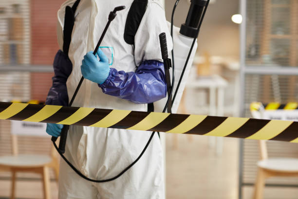 Professional Sewage Cleanup technician working in Stockton, NJ